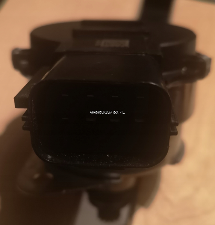 Screenshot 2025-09-03 173833.png