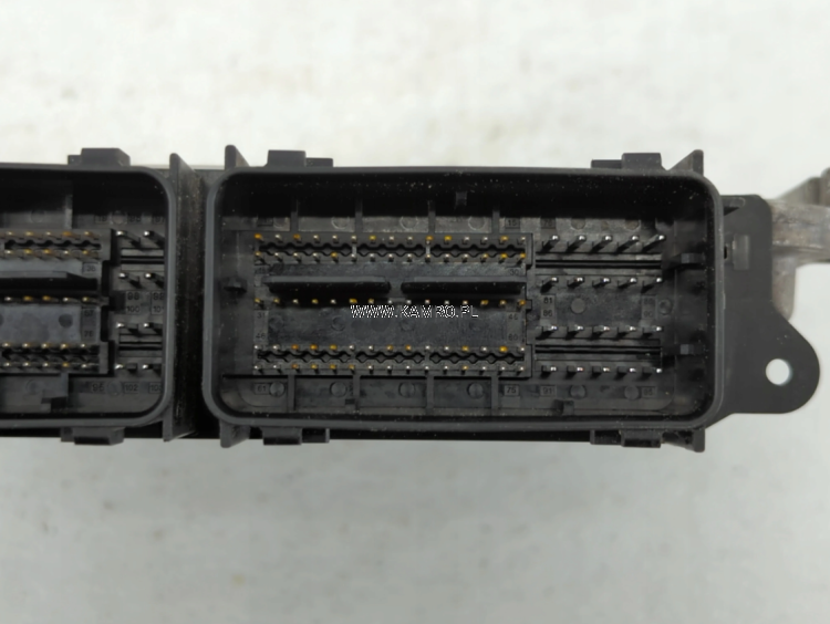 Screenshot 2025-09-03 195857.png