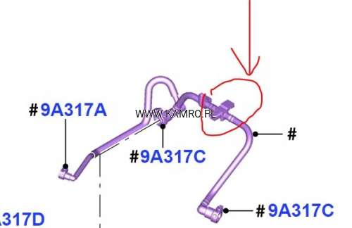 Screenshot 2025-09-03 204702.png